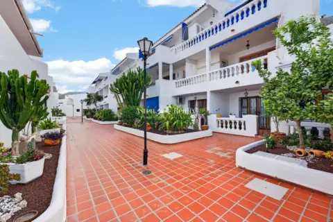 Estudio en Los Cristianos