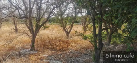 Terreno en calle Pol 6 Parc 443.  Benferri, nº 6