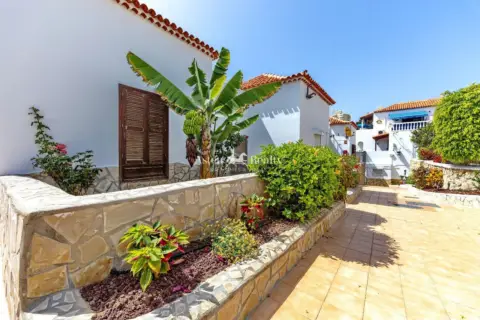 Estudio en Playa de Las Américas