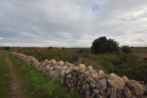 Terreno en Vilafranca de Bonany