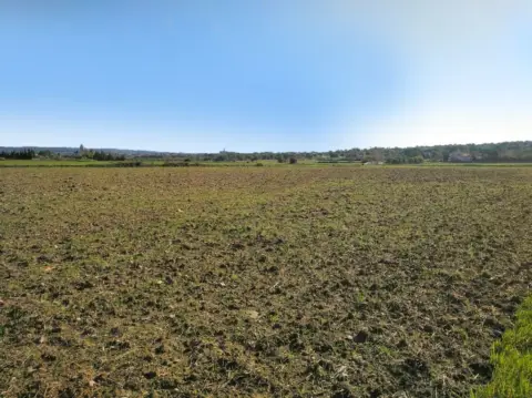 Finca rústica en Petra