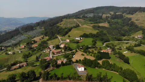 Terreno en calle Finca La Barrosa.El Pedrosu, nº Sin Informacion