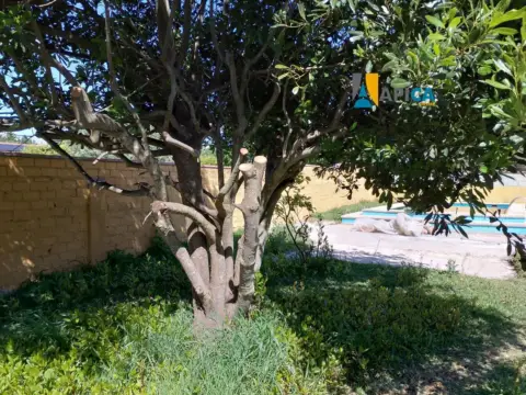 Chalet en Barrio Nuevo