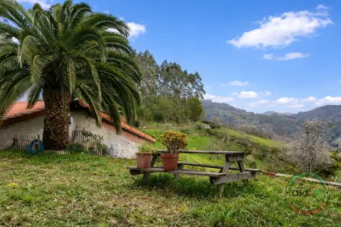 Casa en calle Cs Vallina