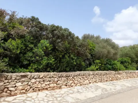 Terreno en Llucmajor Interior