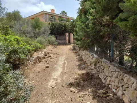 Terreno en Llucmajor Interior