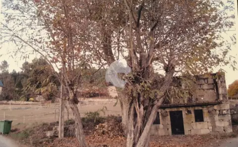 Casa en calle Toubes