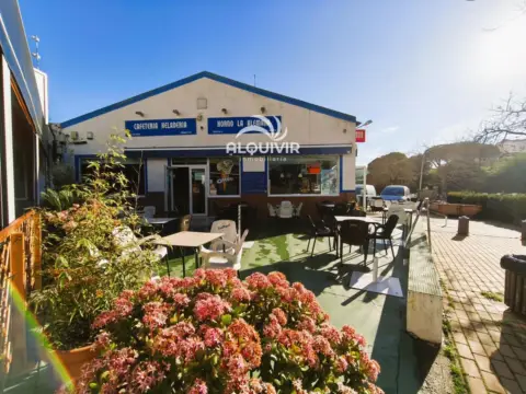 Local comercial en Somormujo