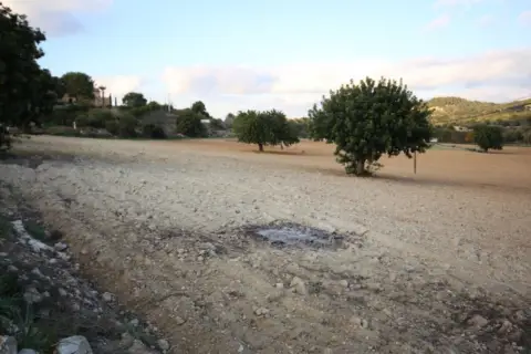 Terreno en Manacor
