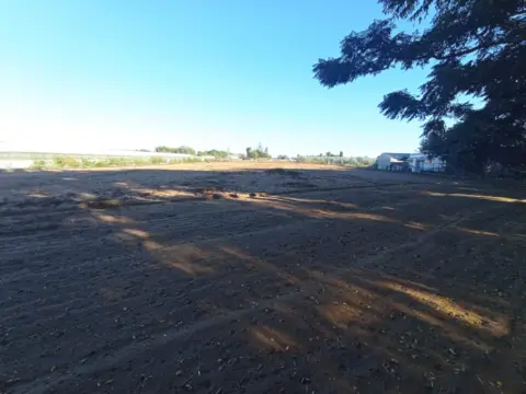 Terreno en calle Camino del Olivar