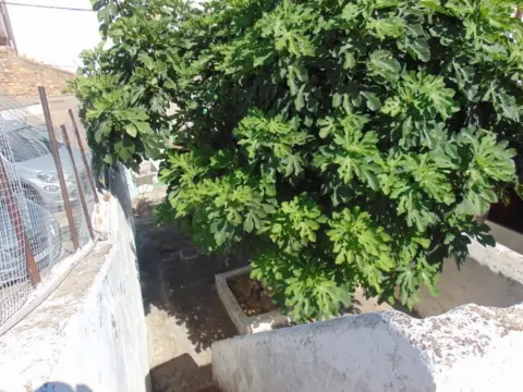 Casa en La Puebla de los Infantes