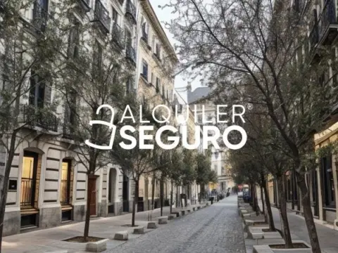 Estudio en Centro