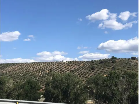 Terreno en Centro-Catedral
