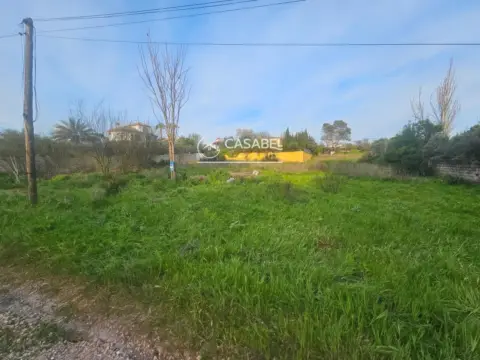 Terreno en El Brillante-El Naranjo-El Tablero