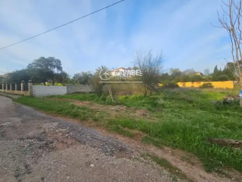 Terreno en El Brillante-El Naranjo-El Tablero