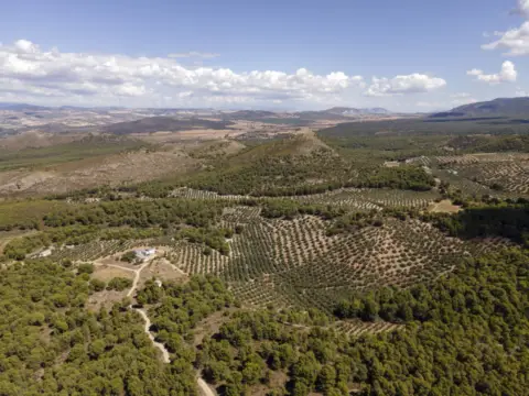 Finca rústica en Domingo Pérez de Granada