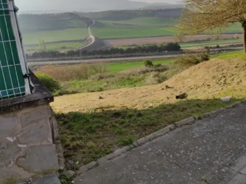 Terreno en calle Mayor, nº Sin Informacion