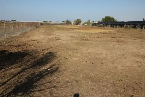 Finca rústica en Pinar
