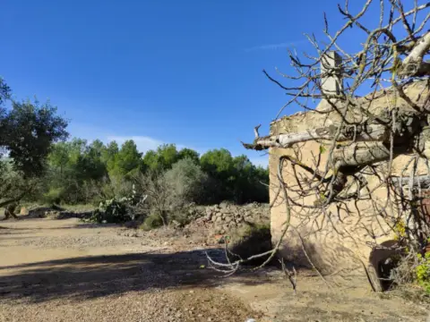 Finca rústica en Zona Rural