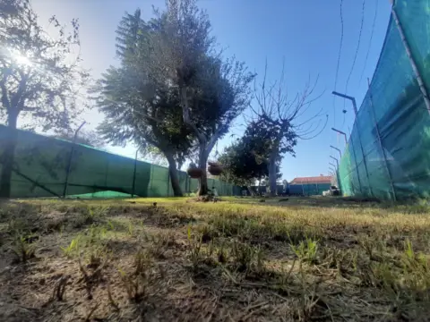 Terreno en calle Adolfo Suárez