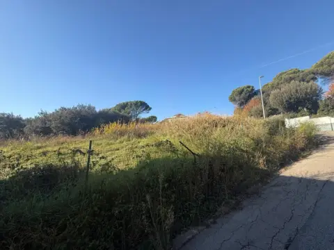 Terreno en Carrer de la Torre Malla