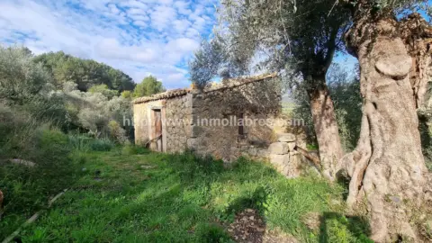 Finca rústica en Selva