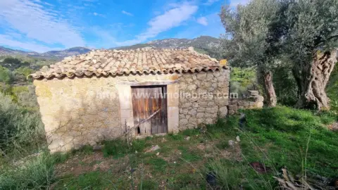 Finca rústica en Selva