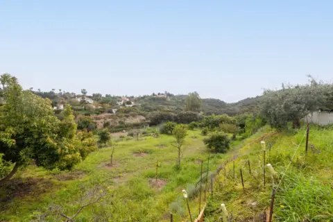 Finca rústica en Selwo