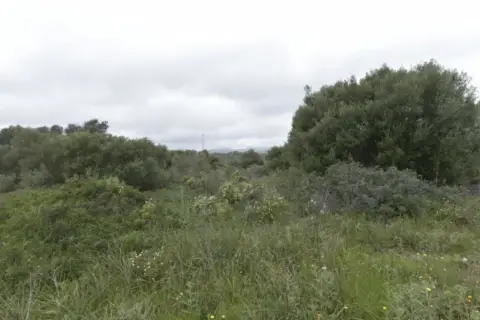 Terreno en Cales de Mallorca