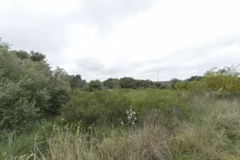 Terreno en Cales de Mallorca