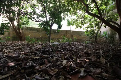 Local comercial en Manacor