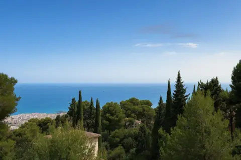 Terreno en El Limonar-El Mayorazgo-Peinado Grande