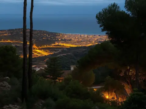 Terreno en El Limonar-El Mayorazgo-Peinado Grande