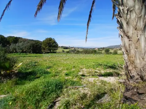 Finca rústica en Manacor