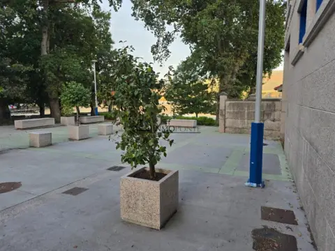 Piso en Arcade