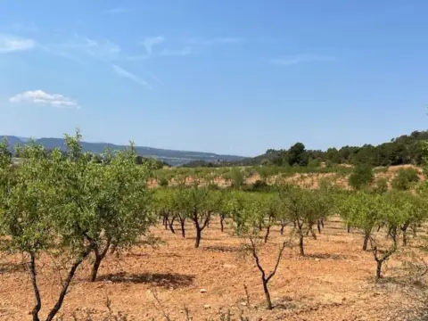 Finca rústica en Valencia Province