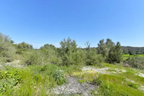 Terreno en Sant Joan