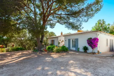 Finca rústica en Son Servera