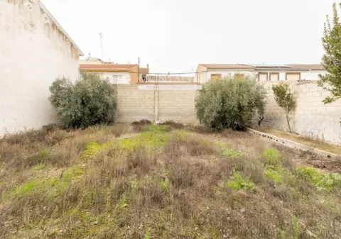 Terreno en calle de la Constitución, 22