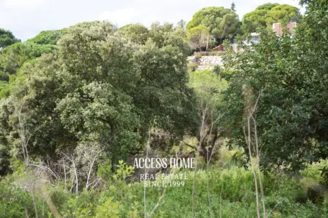 Terreno en Rocaferrera