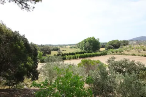 Finca rústica en Son Servera