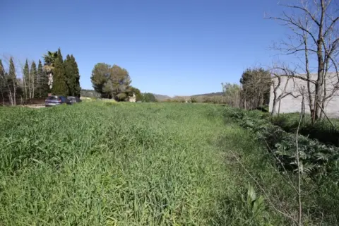 Terreno en Petra