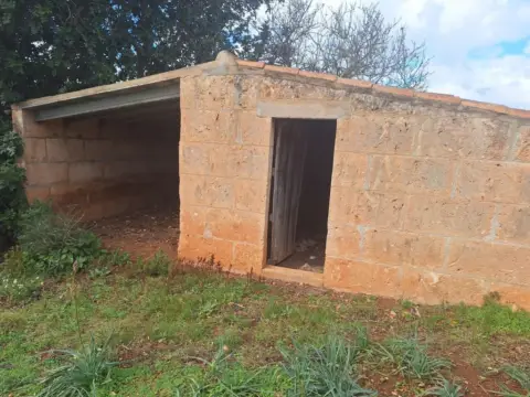 Finca rústica en Son Carrió