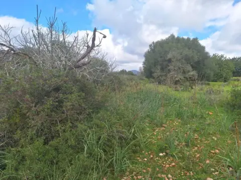 Finca rústica en Son Carrió