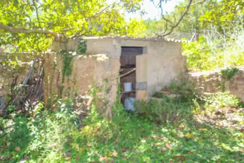 Finca rústica en Artà