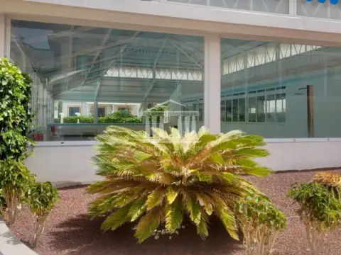 Piso en Llano del Camello