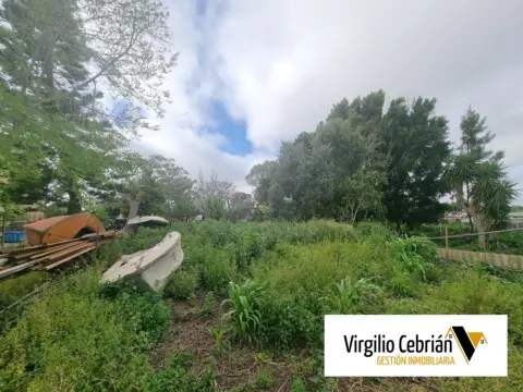 Finca rústica en Centro-Zona Noreste