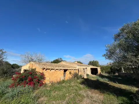 Finca rústica en Petra