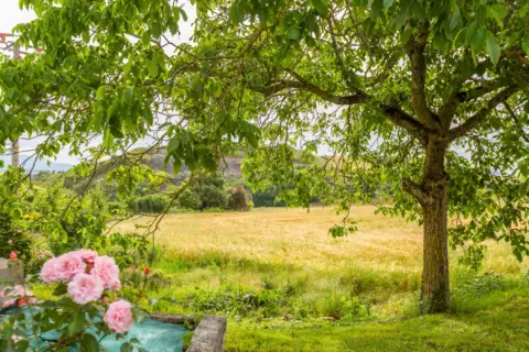 Terreno en calle calle Pasajeos, nº Sin Informacion