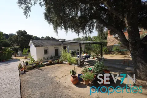 Chalet en calle de la Perdiz, nº 00